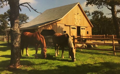 barn with living quarters